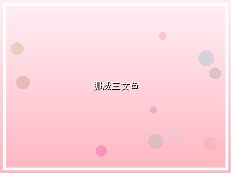 挪威三文鱼