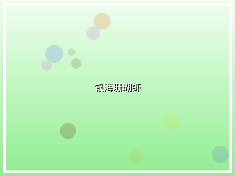 银海珊瑚虾