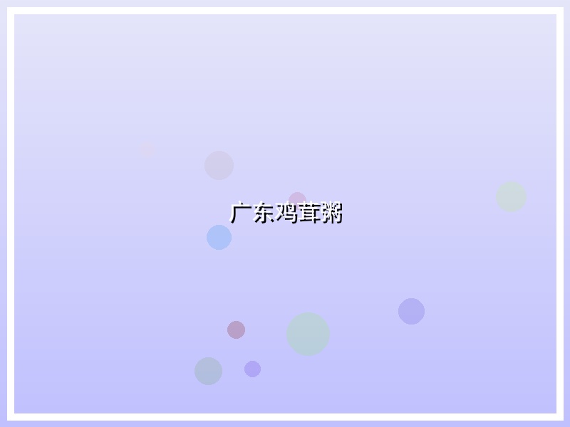 广东鸡茸粥