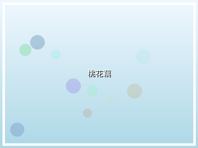 桃花藕