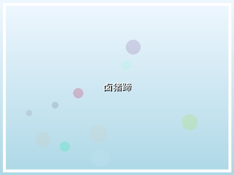 卤猪蹄