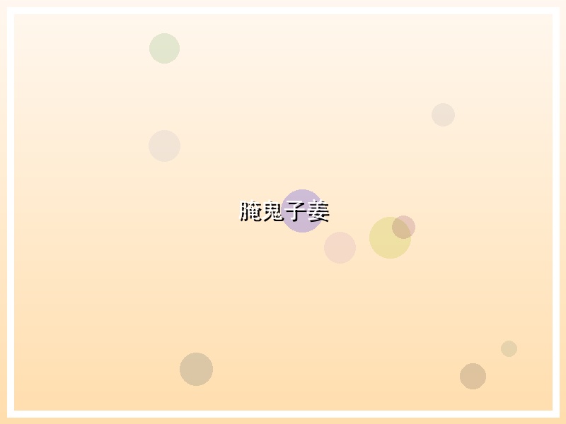 腌鬼子姜