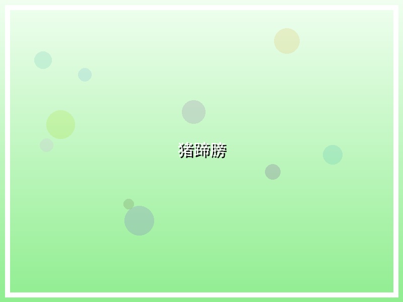猪蹄膀