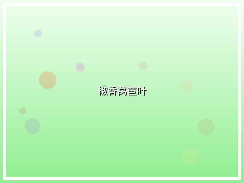 椒香莴苣叶
