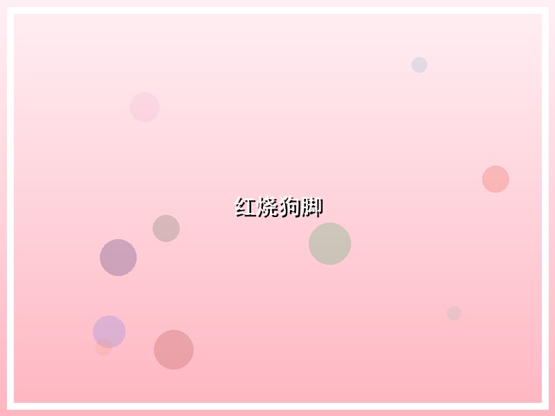 红烧狗脚
