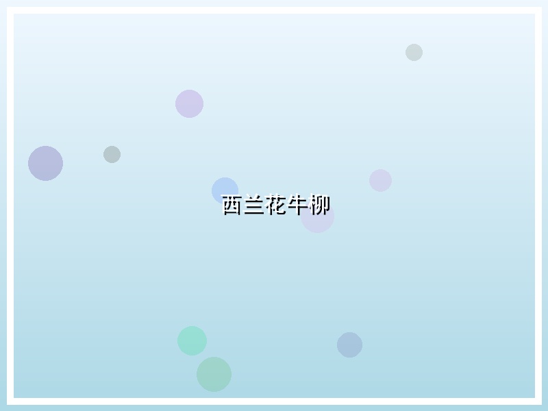 西兰花牛柳