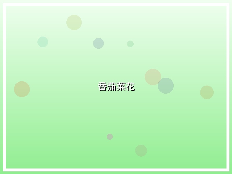 番茄菜花