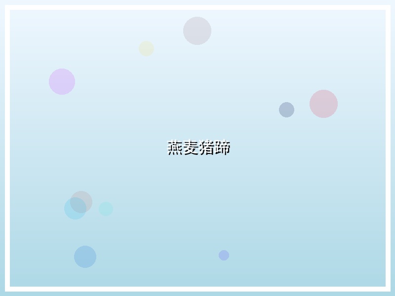 燕麦猪蹄