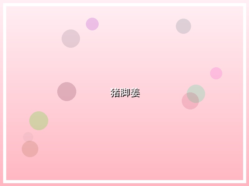 猪脚姜