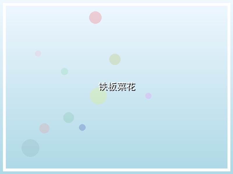 铁板菜花