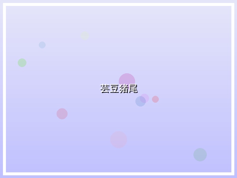 芸豆猪尾