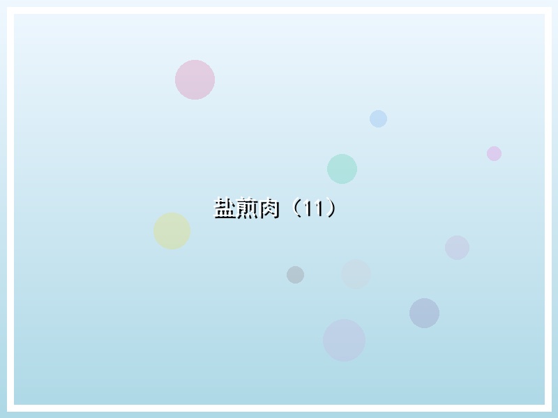 盐煎肉（11）