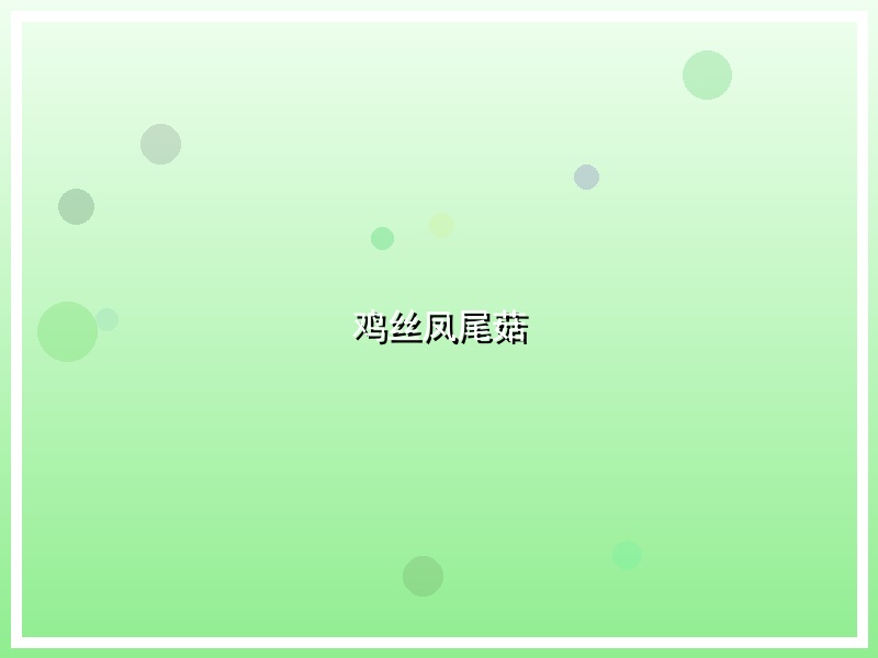 鸡丝凤尾菇