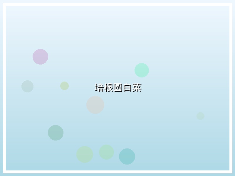 培根圆白菜