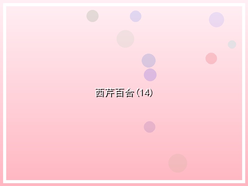 西芹百合(14)