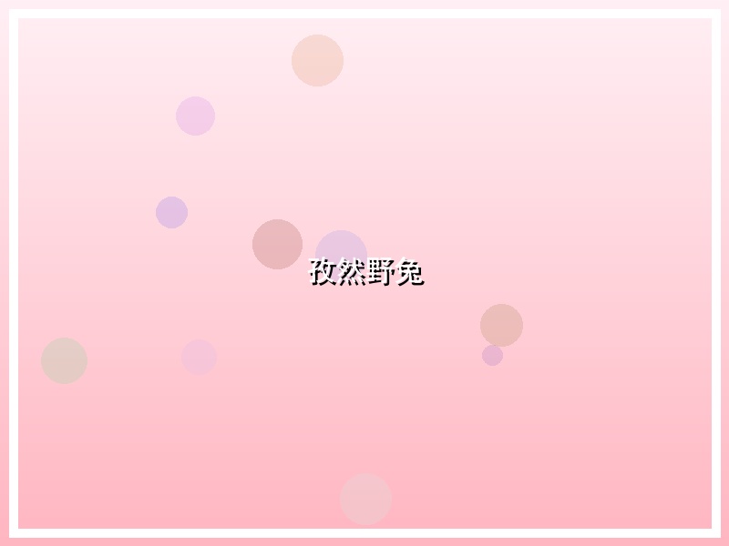孜然野兔