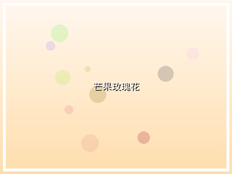 芒果玫瑰花