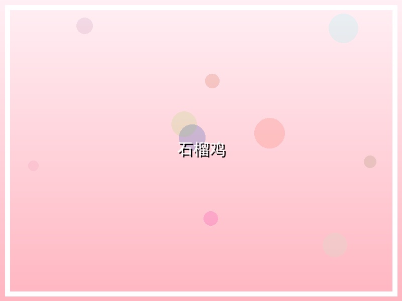 石榴鸡