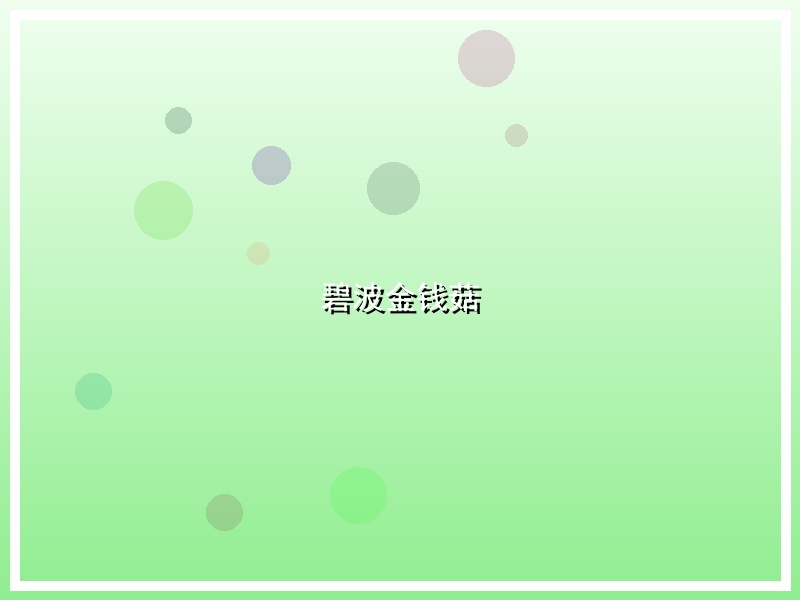 碧波金钱菇