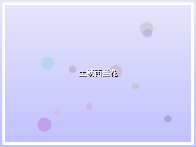 土鱿西兰花