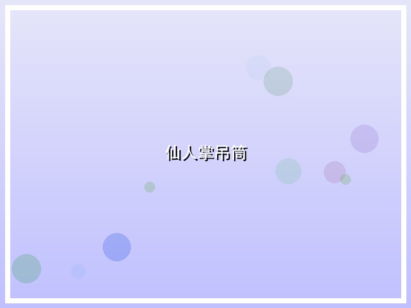 仙人掌吊筒