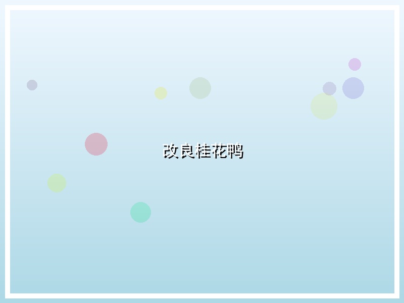 改良桂花鸭
