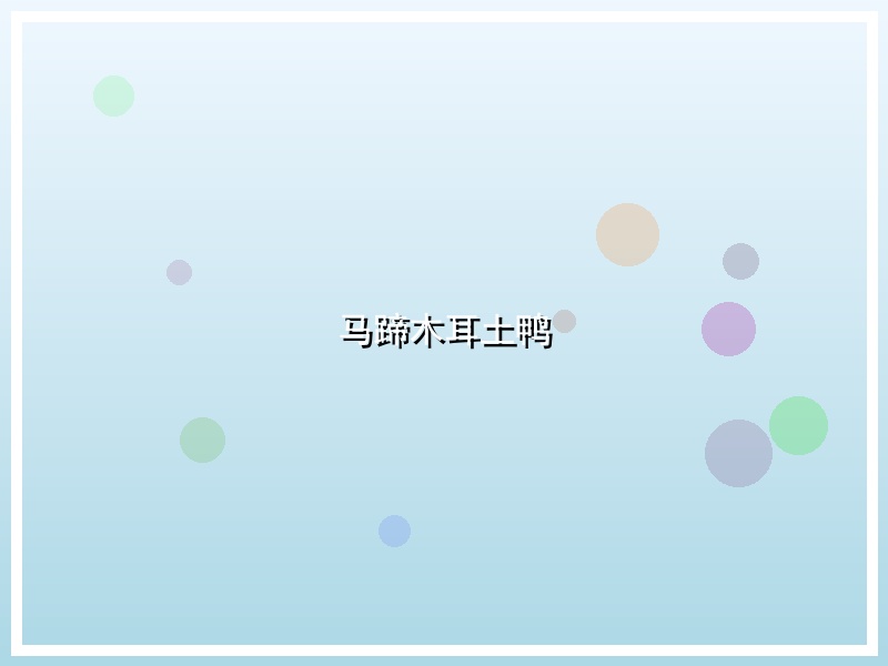 马蹄木耳土鸭