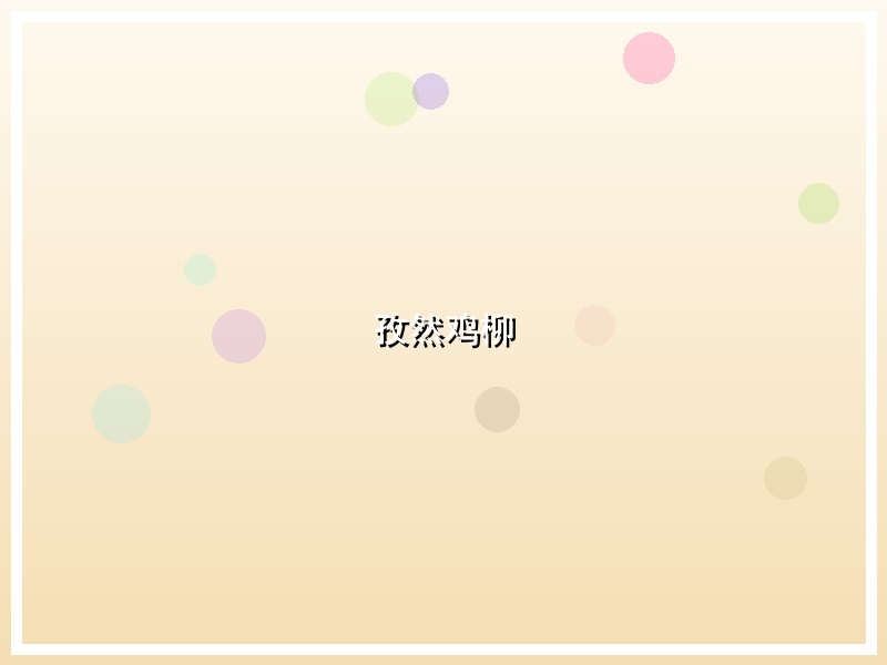 孜然鸡柳