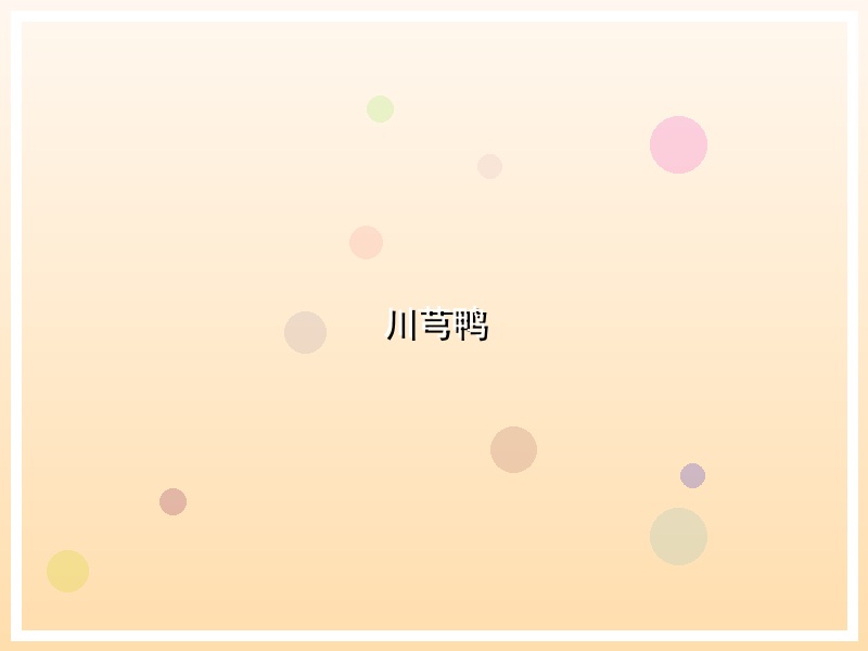 川芎鸭