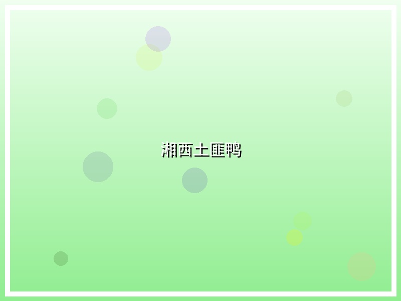 湘西土匪鸭
