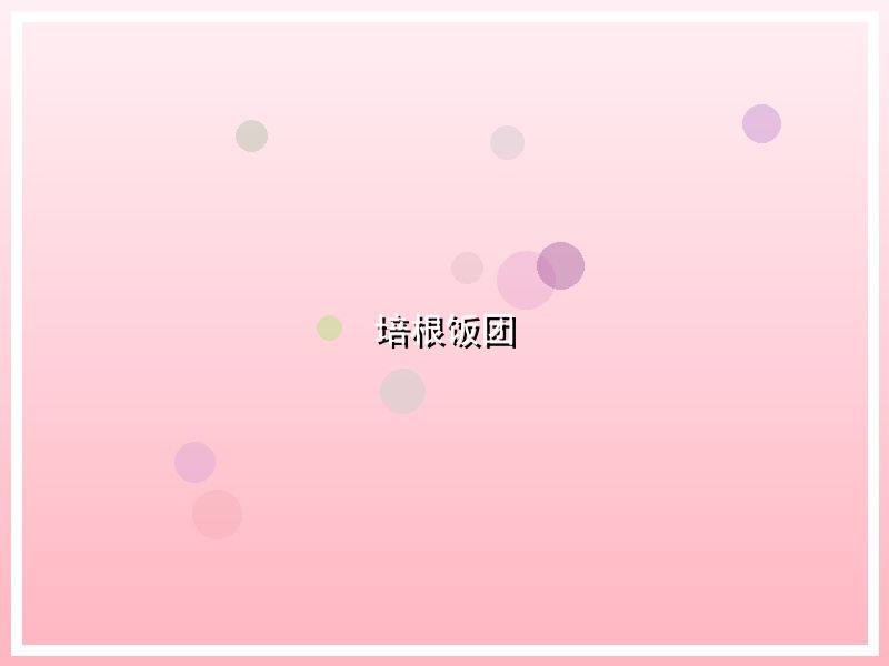 培根饭团