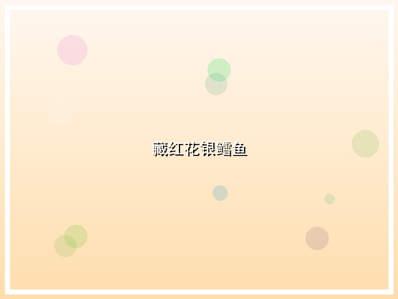 藏红花银鳕鱼