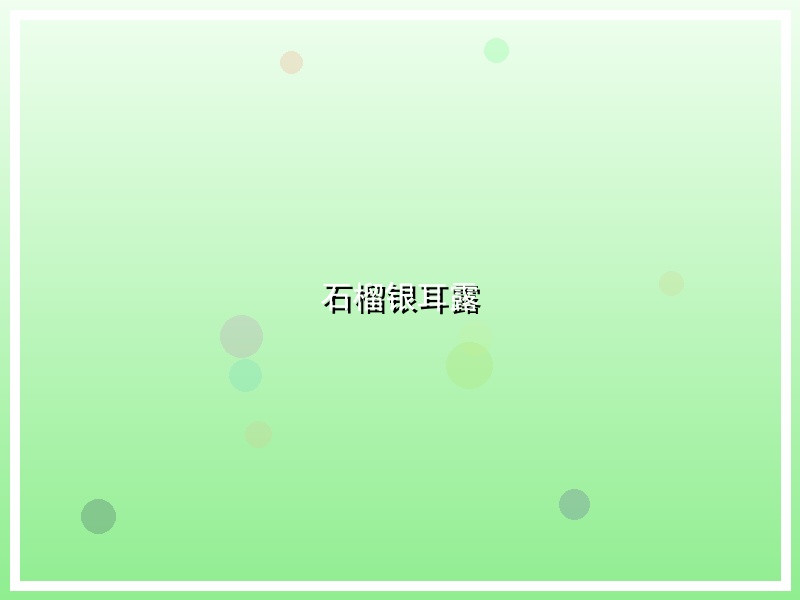 石榴银耳露
