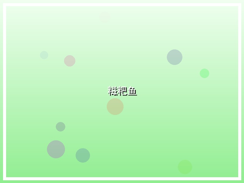 糍粑鱼