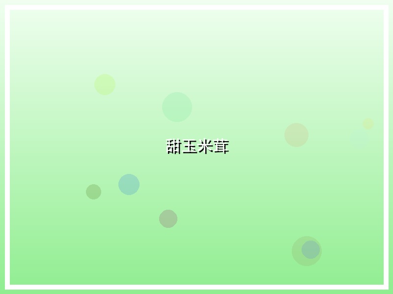 甜玉米茸